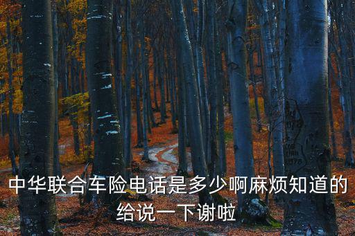 中華聯(lián)合車險電話是多少啊麻煩知道的給說一下謝啦