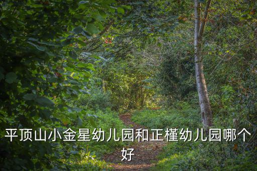 小金星幼兒園，平頂山小金星幼兒園和正槿幼兒園哪個好
