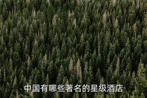 中國有哪些著名的星級酒店