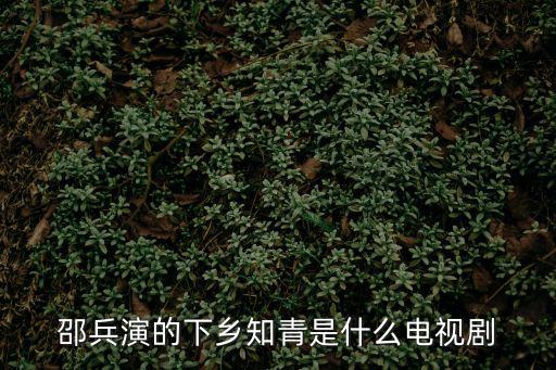邵兵演的下鄉知青是什么電視劇