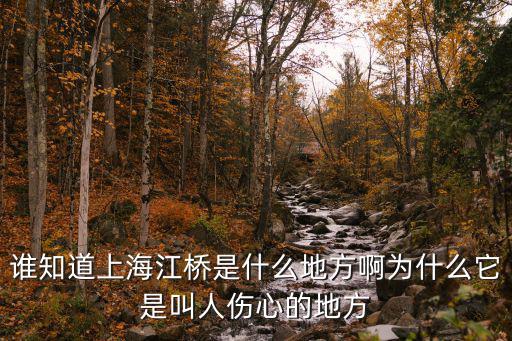 誰知道上海江橋是什么地方啊為什么它是叫人傷心的地方