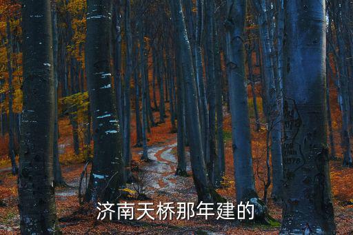 濟南天橋，濟南天橋那年建的