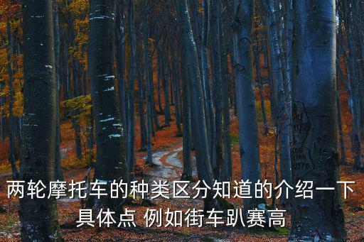兩輪摩托車，二輪摩托車
