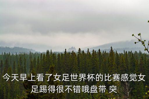 2019女足世界杯，今天早上看了女足世界杯的比賽感覺女足踢得很不錯哦盤帶 突