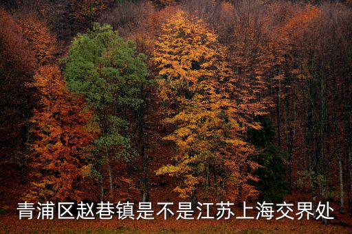 青浦區趙巷鎮是不是江蘇上海交界處