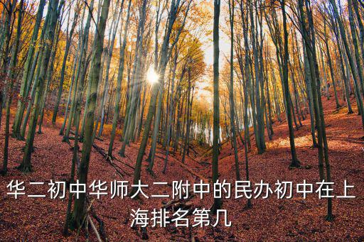 華二附中，華二初中華師大二附中的民辦初中在上海排名第幾
