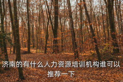 濟南的有什么人力資源培訓機構誰可以推薦一下