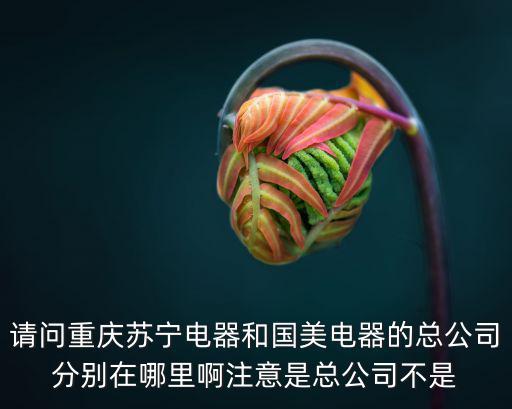 請問重慶蘇寧電器和國美電器的總公司分別在哪里啊注意是總公司不是