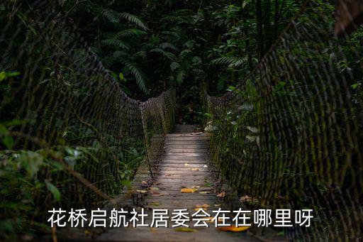 花橋啟航社居委會在在哪里呀
