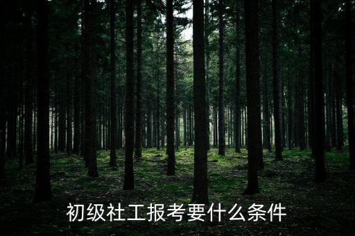 初級社工報考要什么條件