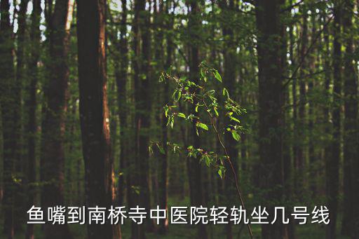 魚嘴到南橋寺中醫(yī)院輕軌坐幾號(hào)線