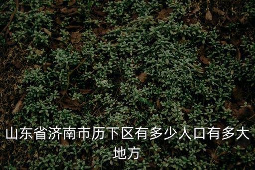 歷下，濟南的歷下區有多大