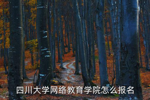 四川大學(xué)網(wǎng)絡(luò)學(xué)院，四川大學(xué)網(wǎng)絡(luò)教育學(xué)院好不好