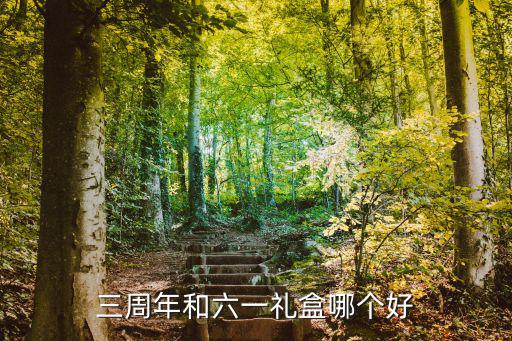 三周年和六一禮盒哪個好