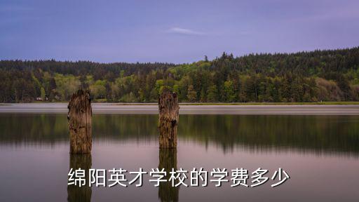 綿陽英才學校的學費多少