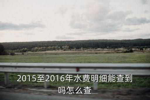 2015至2016年水費明細能查到嗎怎么查