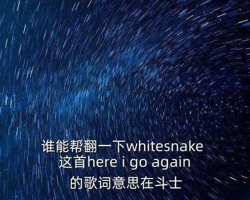 誰能幫翻一下whitesnake 這首here i go again 的歌詞意思在斗士