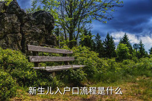 新生兒入戶口流程是什么