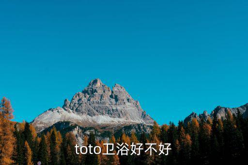 toto衛浴好不好