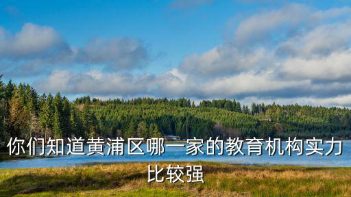你們知道黃浦區哪一家的教育機構實力比較強