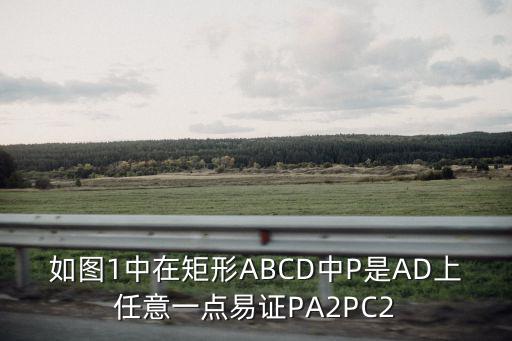 如圖1中在矩形ABCD中P是AD上任意一點(diǎn)易證PA2PC2