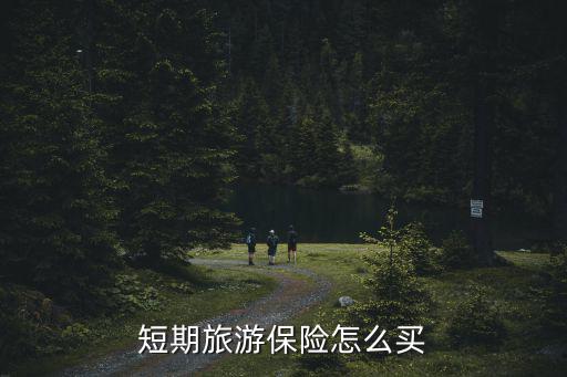 短期旅游保險怎么買