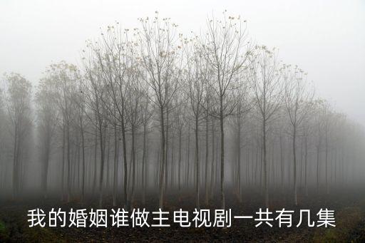 我的婚姻誰做主電視劇一共有幾集