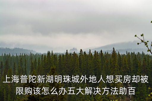 上海普陀新湖明珠城外地人想買房卻被限購該怎么辦五大解決方法助百