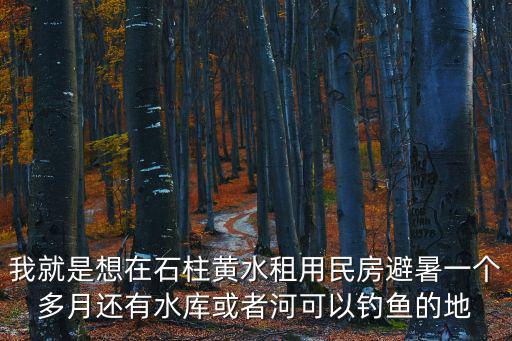 我就是想在石柱黃水租用民房避暑一個多月還有水庫或者河可以釣魚的地