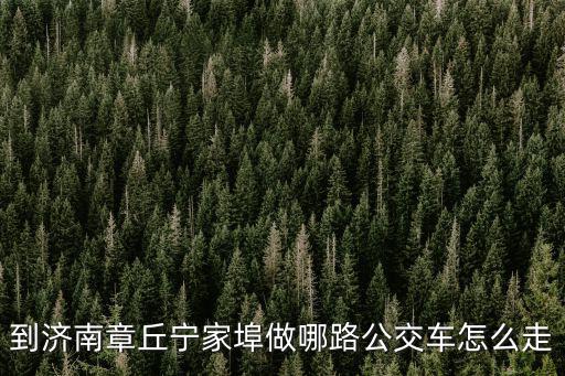 到濟南章丘寧家埠做哪路公交車怎么走