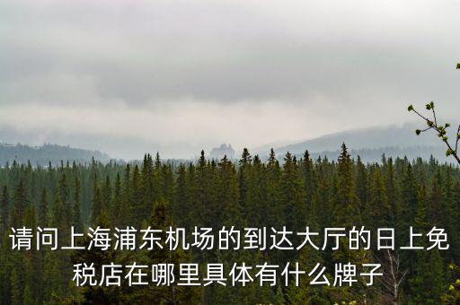 請(qǐng)問上海浦東機(jī)場(chǎng)的到達(dá)大廳的日上免稅店在哪里具體有什么牌子
