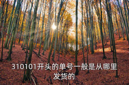 310101，310101開頭的單號一般是從哪里發貨的