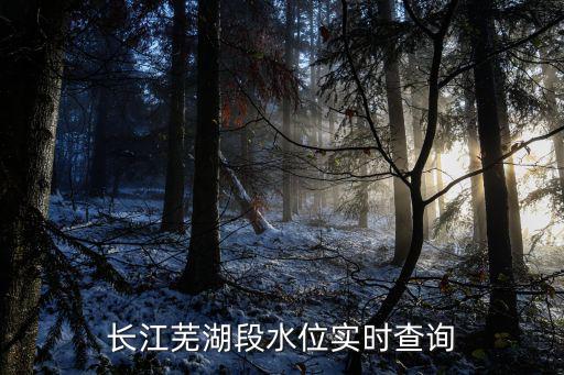 長江水位查詢，長江蕪湖段水位實時查詢