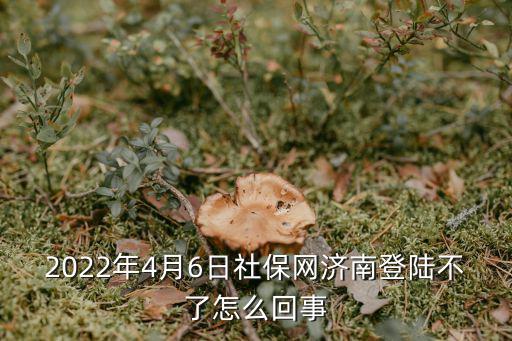 2022年4月6日社保網濟南登陸不了怎么回事