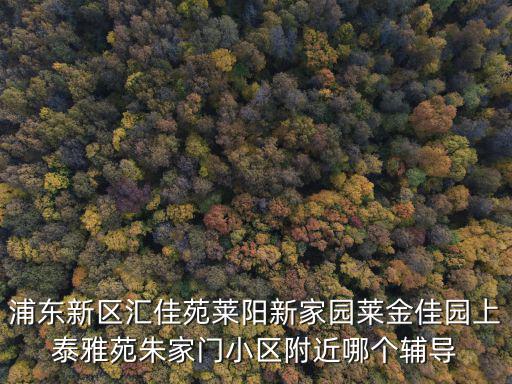 浦東新區匯佳苑萊陽新家園萊金佳園上泰雅苑朱家門小區附近哪個輔導