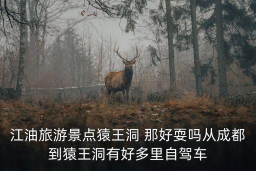 猿王洞自然風(fēng)景區(qū)，綿陽景區(qū)西羌九黃山猿王洞