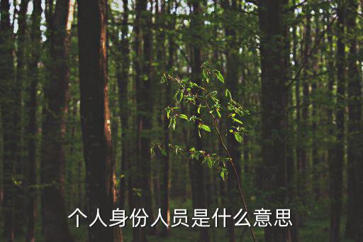個人身份人員是什么意思