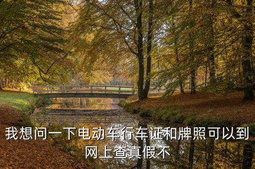 我想問一下電動車行車證和牌照可以到網上查真假不