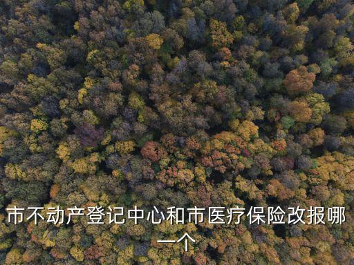 市不動產登記中心，重慶市不動產登記中心怎么樣
