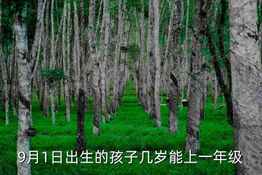 9月1日出生的孩子幾歲能上一年級