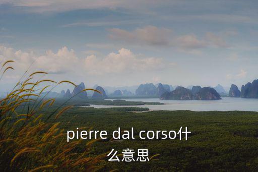 pierre dal corso什么意思