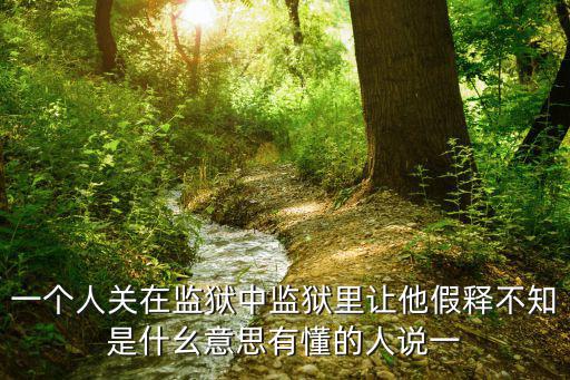 什么是假釋，一個人關在監獄中監獄里讓他假釋不知是什幺意思有懂的人說一
