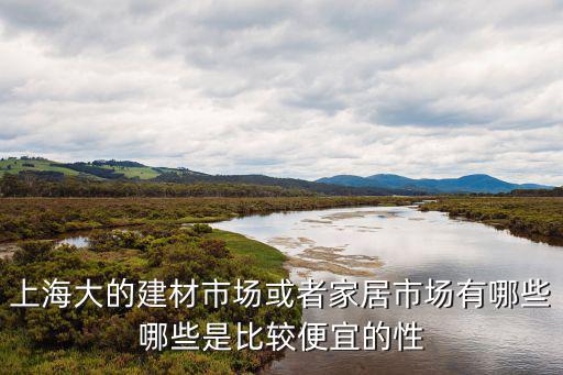 上海大的建材市場(chǎng)或者家居市場(chǎng)有哪些哪些是比較便宜的性