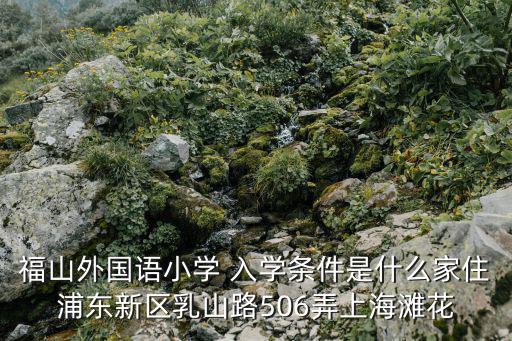 福山外國(guó)語(yǔ)小學(xué) 入學(xué)條件是什么家住浦東新區(qū)乳山路506弄上海灘花