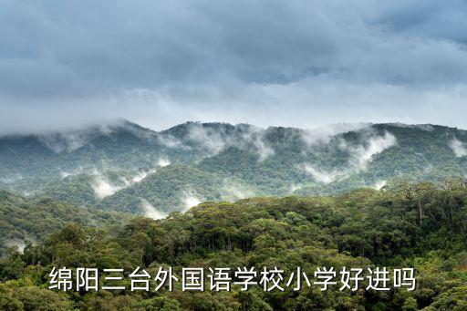 綿陽三臺外國語學校小學好進嗎
