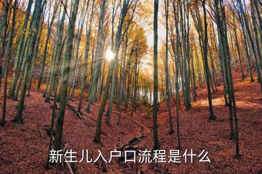 新生兒入戶，2020新生兒上戶口流程