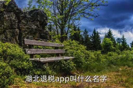 湖北退稅app叫什么名字