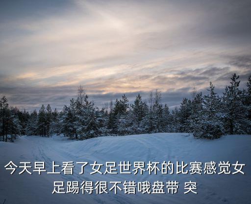 今天早上看了女足世界杯的比賽感覺女足踢得很不錯哦盤帶 突