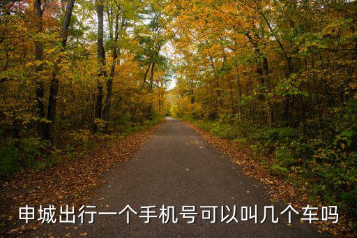 申城出行一個手機號可以叫幾個車嗎