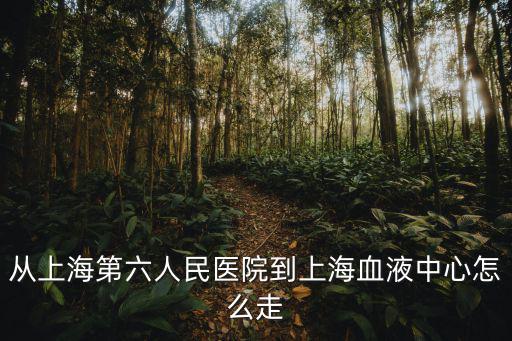 從上海第六人民醫(yī)院到上海血液中心怎么走